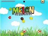 game pic for Melon Samurai 5  touchscreen